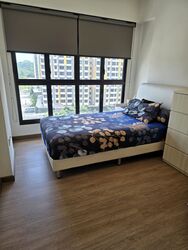 Blk 238 Garden Vines @ Tengah (Tengah), HDB 2 Rooms #595815221